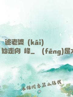 從追老婆開(kāi)始走向巔峰