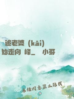 從追老婆開(kāi)始走向巔峰