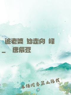 從追老婆開始走向巔峰