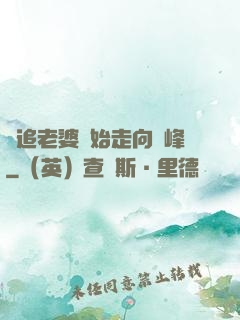 從追老婆開始走向巔峰