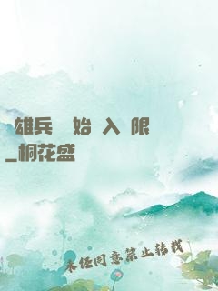 從雄兵連開始駭入無限