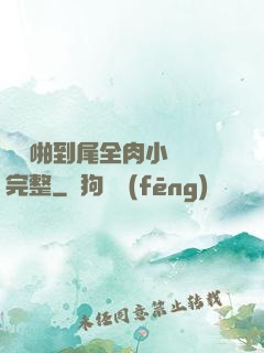 從頭啪到尾全肉小黃書完整