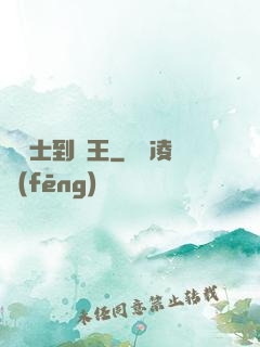 從騎士到國王
