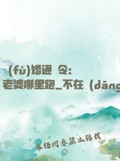 復(fù)婚通緝令：老婆哪里跑