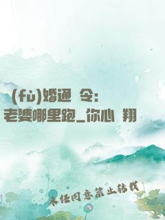 復(fù)婚通緝令：老婆哪里跑