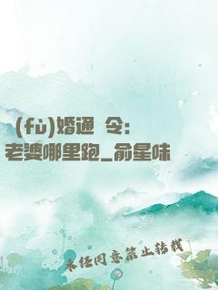 復(fù)婚通緝令：老婆哪里跑