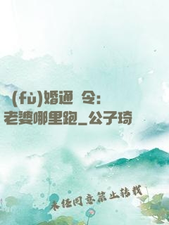 復(fù)婚通緝令：老婆哪里跑
