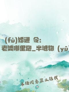 復(fù)婚通緝令：老婆哪里跑