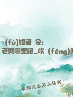 復(fù)婚通緝令：老婆哪里跑