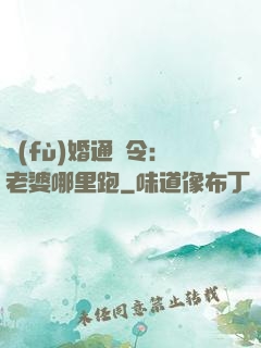 復(fù)婚通緝令：老婆哪里跑