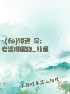 復(fù)婚通緝令：老婆哪里跑