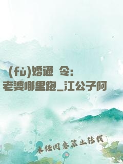 復(fù)婚通緝令：老婆哪里跑