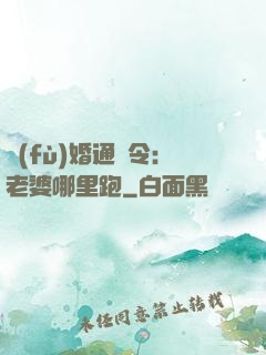 復(fù)婚通緝令：老婆哪里跑