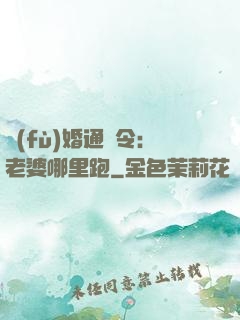 復(fù)婚通緝令：老婆哪里跑