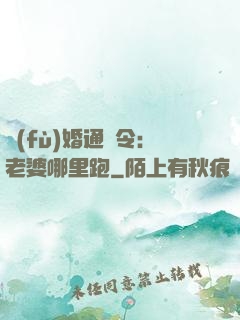 復(fù)婚通緝令：老婆哪里跑