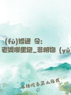 復(fù)婚通緝令：老婆哪里跑