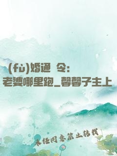 復(fù)婚通緝令：老婆哪里跑