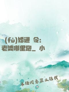 復(fù)婚通緝令：老婆哪里跑
