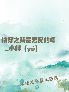 快穿之我是男配的暖寶寶