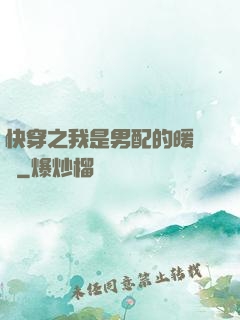 快穿之我是男配的暖寶寶