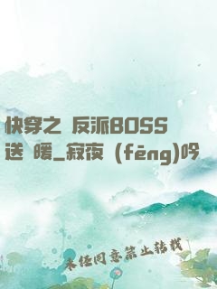快穿之給反派BOSS送溫暖