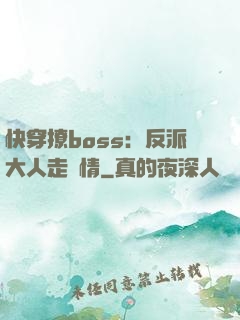 快穿撩boss：反派大人走劇情