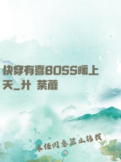 快穿有喜BOSS暖上天