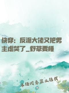 快穿：反派大佬又把男主虐哭了