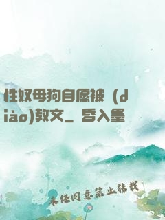 性奴母狗自愿被調(diào)教文