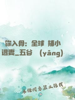 愛你入骨：全球緝捕小逃妻