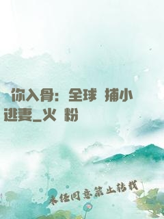 愛你入骨：全球緝捕小逃妻