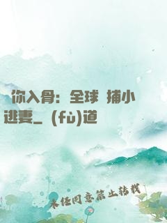 愛你入骨：全球緝捕小逃妻