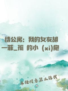愛情公寓：我的女友胡一菲