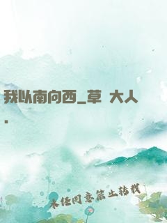 我以南向西
