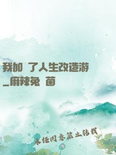 我加載了人生改造游戲