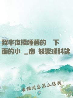 我半夜摸睡著的妺妺下面的小說