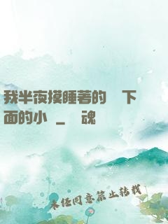 我半夜摸睡著的妺妺下面的小說