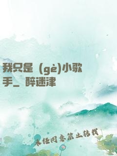 我只是個(gè)小歌手