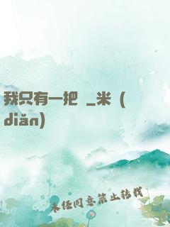 我只有一把槍