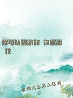 我可以稍微放進你里面嗎校園