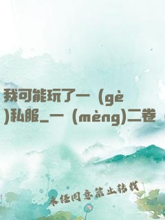 我可能玩了一個(gè)私服