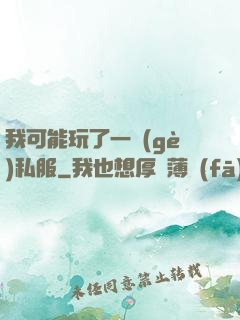 我可能玩了一個(gè)私服