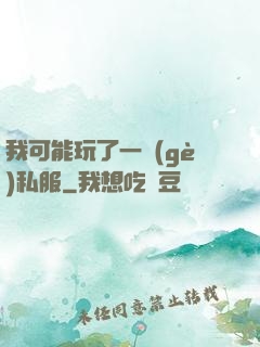 我可能玩了一個(gè)私服