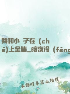 我和小娻孑在車(chē)上全集
