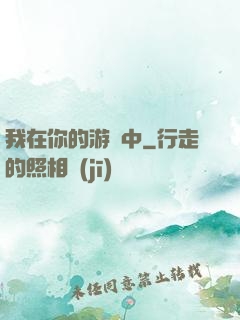 我在你的游戲中