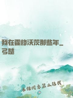 我在霍格沃茨那些年