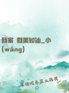 我家總裁美如仙