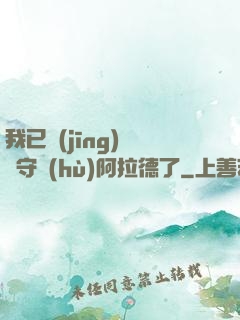 我已經(jīng)沒錢守護(hù)阿拉德了