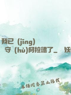 我已經(jīng)沒錢守護(hù)阿拉德了