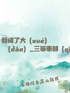 我成了大學(xué)輔導(dǎo)員